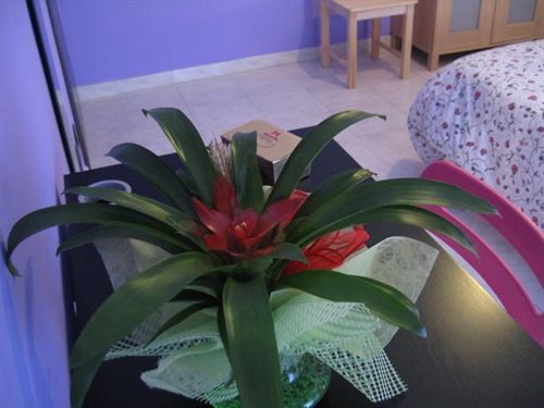 טורינו B&B Piazza Vittorio מראה חיצוני תמונה